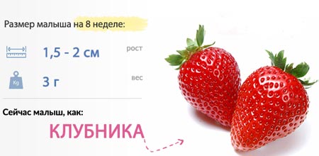 текст 7 нед бер 1.jpg текст 7 нед бер 1.jpg