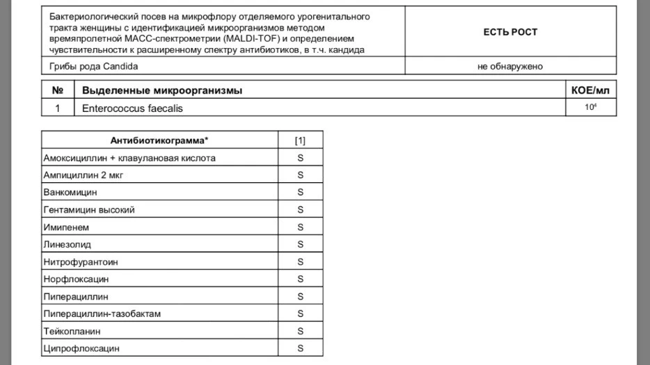 2025-08-11_14-46-54.jpg 2025-08-11_14-46-54.jpg